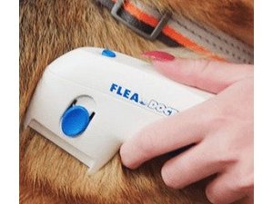 FleaDoctor- Čistač za Buve i Krpelje