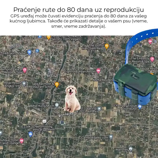 Lokator za lovačke pse - Tracker za pse IK122T 4G GPS